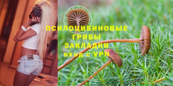 сатива Волоколамск