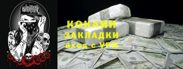 сатива Волоколамск