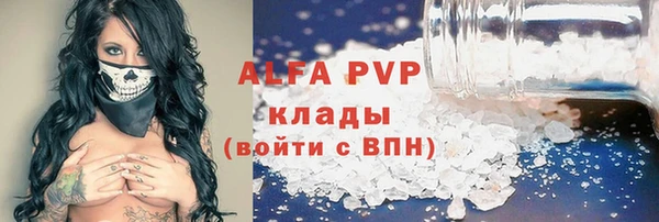 сатива Волоколамск